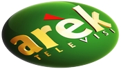Arek TV