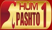 Hum Pashto1 TV