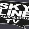 Skyline TV