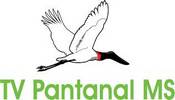 TV Pantanal MS
