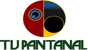 TV Pantanal
