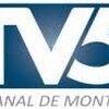 TV5 Montería