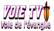 Voie TV